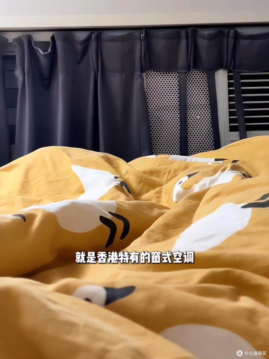 香港26岁女孩晒生活照：蜗居4㎡劏房，功能齐全，网友：太窒息了！