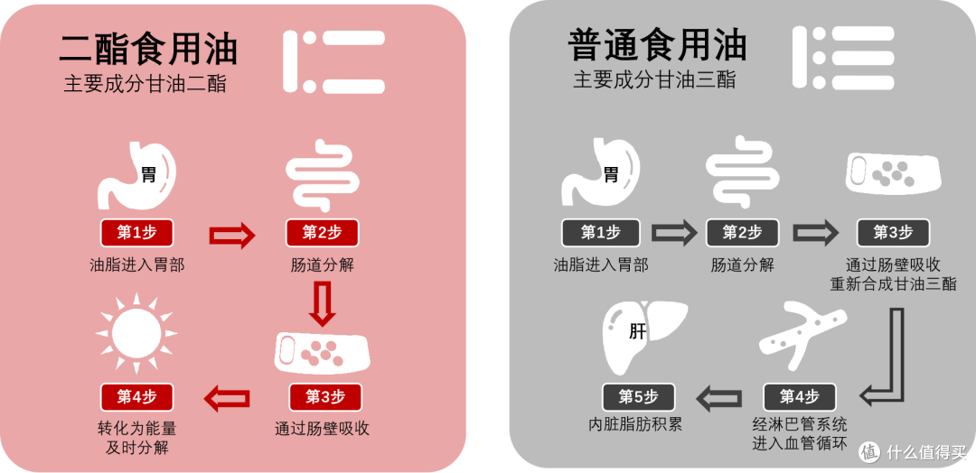 图片来源于网络