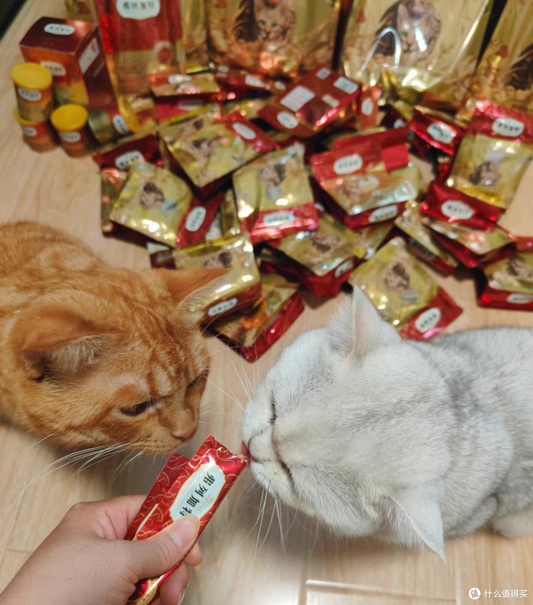 弗列加特高鲜肉配方成猫粮，新品种草