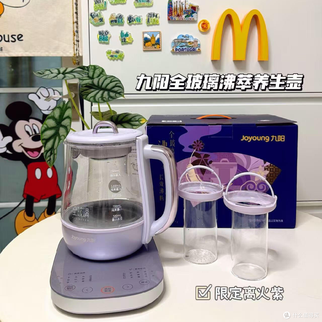 挑养生壶踩过坑的💥听我一句劝选对不白花钱