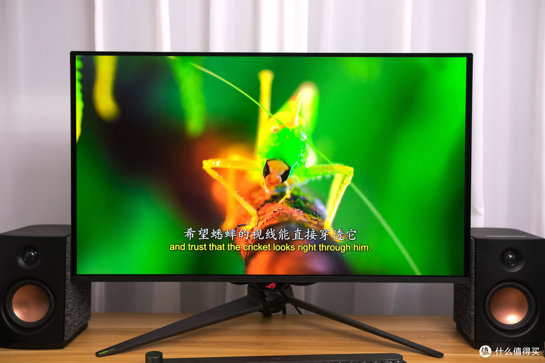 “败家之眼”认证！OLED电竞显示器“机皇”入手，ROG超神32体验