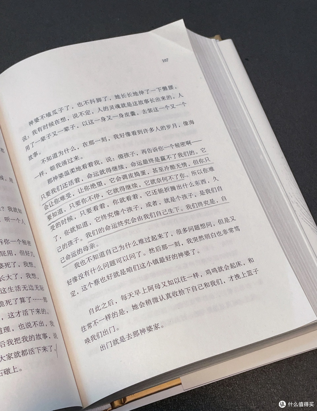 《命运》:站在生死的渡口,与人间悲喜温柔和解