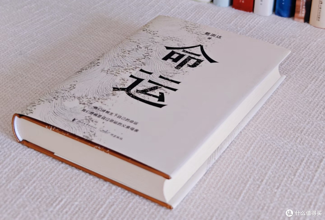 《命运》:站在生死的渡口,与人间悲喜温柔和解