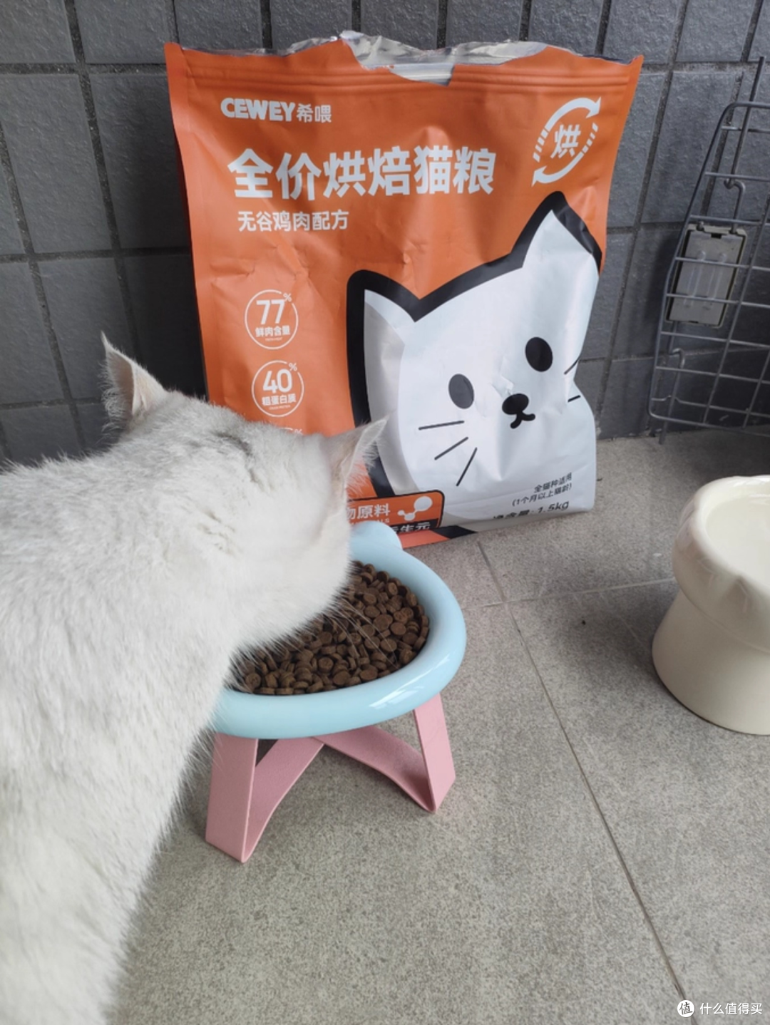 怎么挑选什么猫粮好猫粮排行榜前十名？国产猫粮排名前十品牌推荐