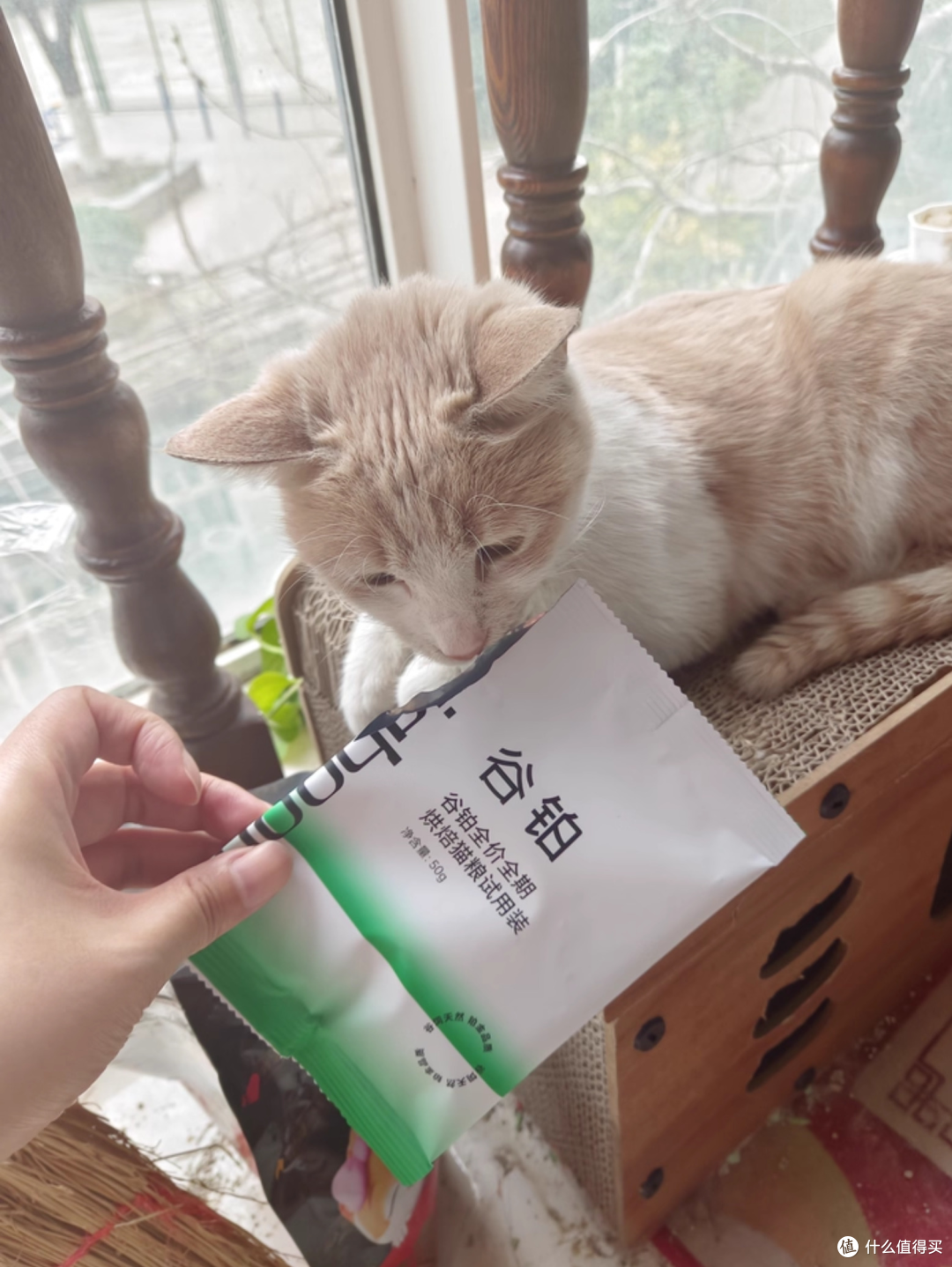 怎么挑选什么猫粮好猫粮排行榜前十名？国产猫粮排名前十品牌推荐
