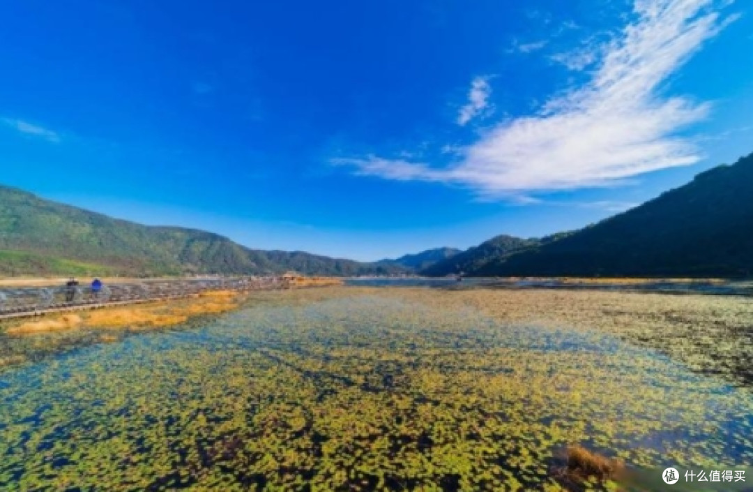 云南保山北海湿地:探秘火山堰塞湖的生态秘境