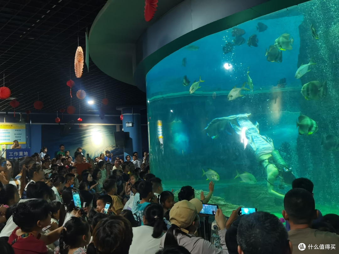 海洋之窗小记:一场治愈与欢笑的海底漫游