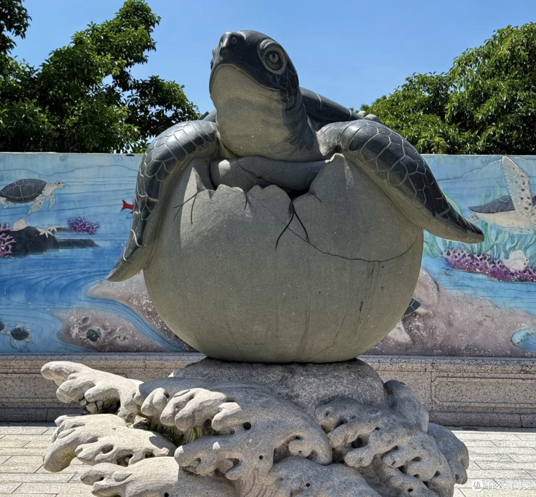 惠州海龟湾周末疗愈方案