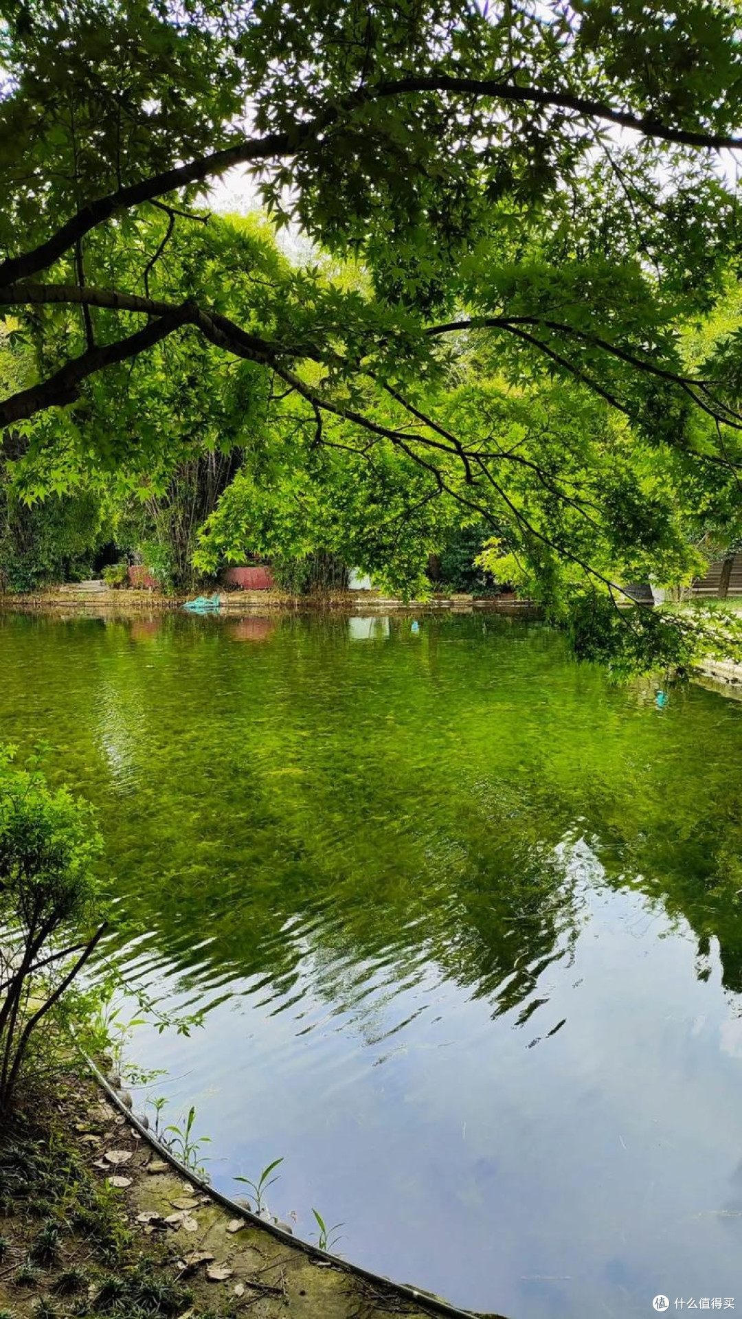 城郊湿地公园的治愈一日