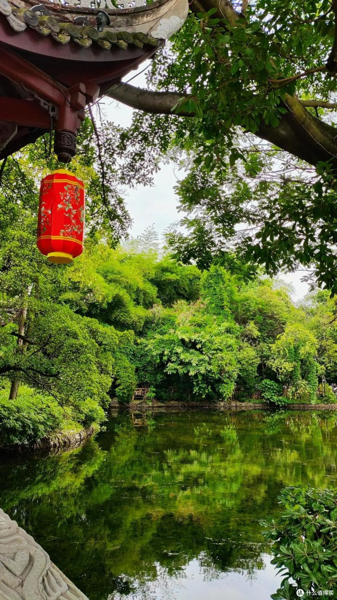 城郊湿地公园的治愈一日
