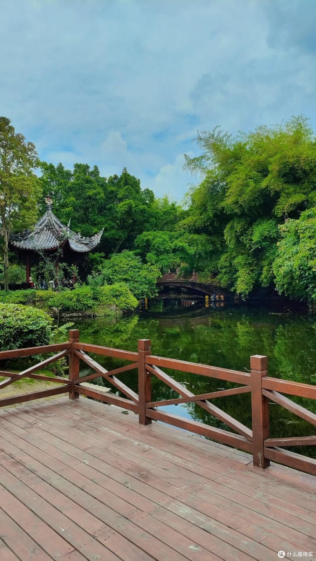 城郊湿地公园的治愈一日