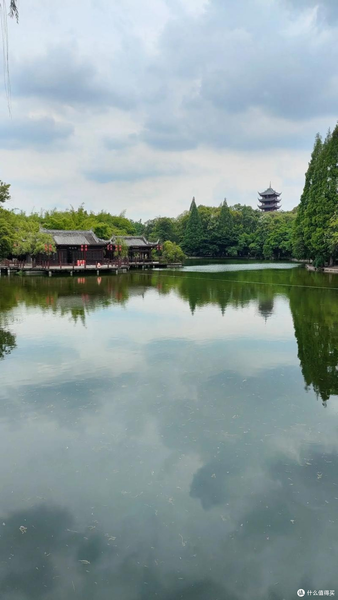 城郊湿地公园的治愈一日
