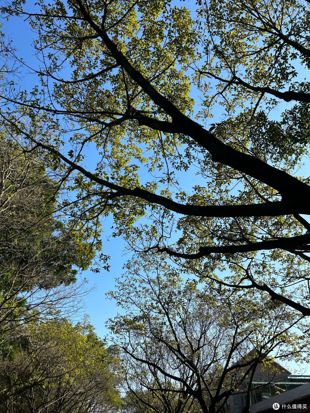 周末野炊:治愈心灵的慢生活