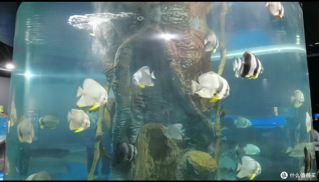 周末带娃逛北海海洋之窗:开心又治愈的一天