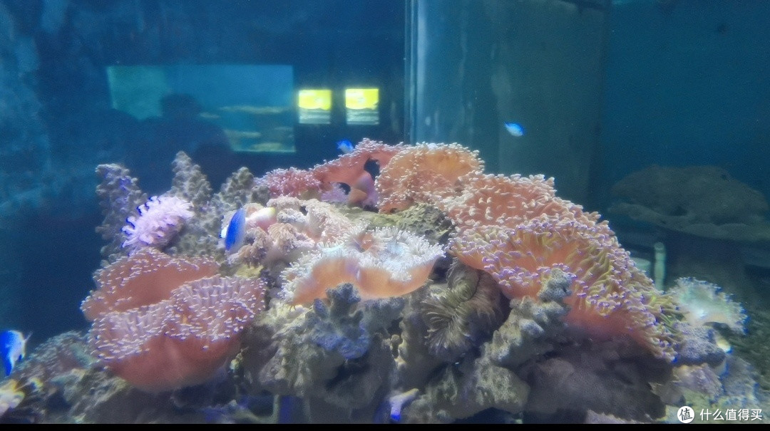 周末带娃逛北海海洋之窗:开心又治愈的一天