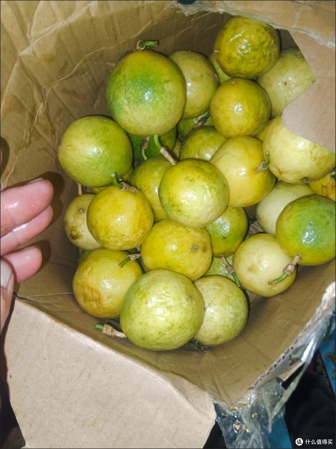 双11给你种草钦蜜9号百香果,甜蜜多汁制作果茶首选