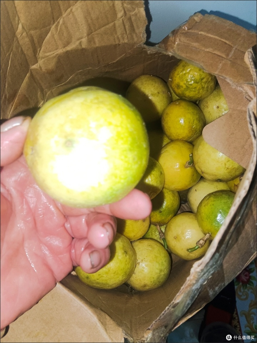双11给你种草钦蜜9号百香果,甜蜜多汁制作果茶首选