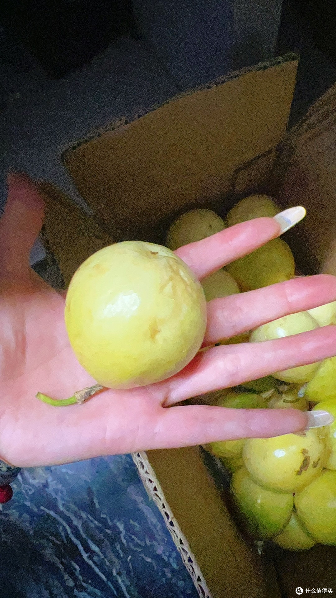 双11给你种草钦蜜9号百香果,甜蜜多汁制作果茶首选