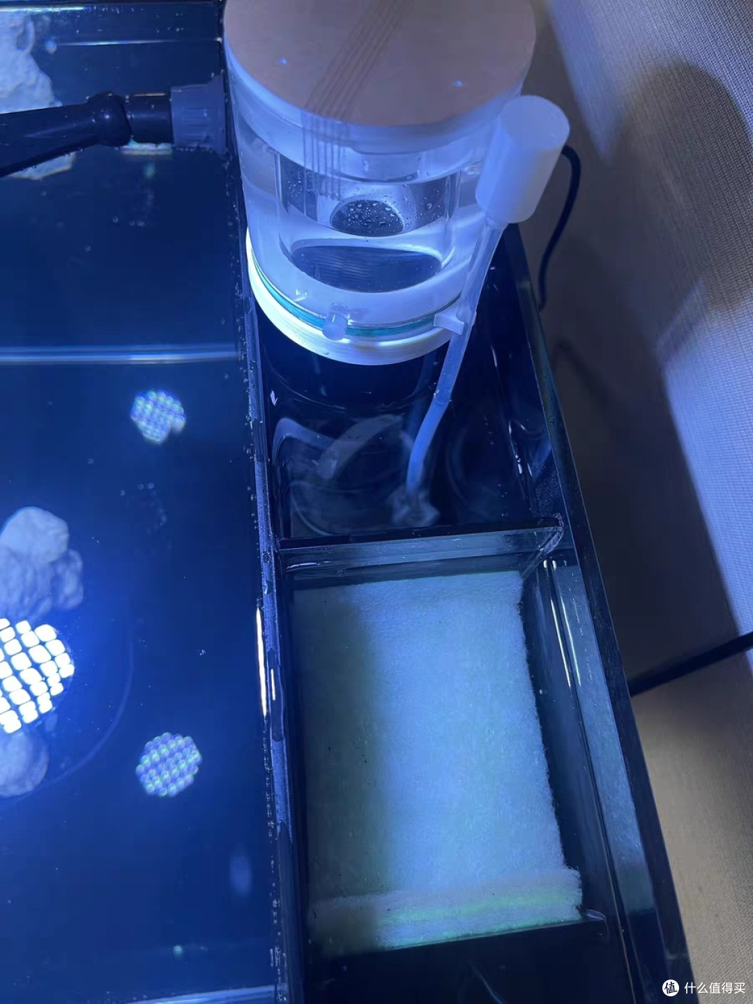 小型客厅桌面珊瑚造景海缸