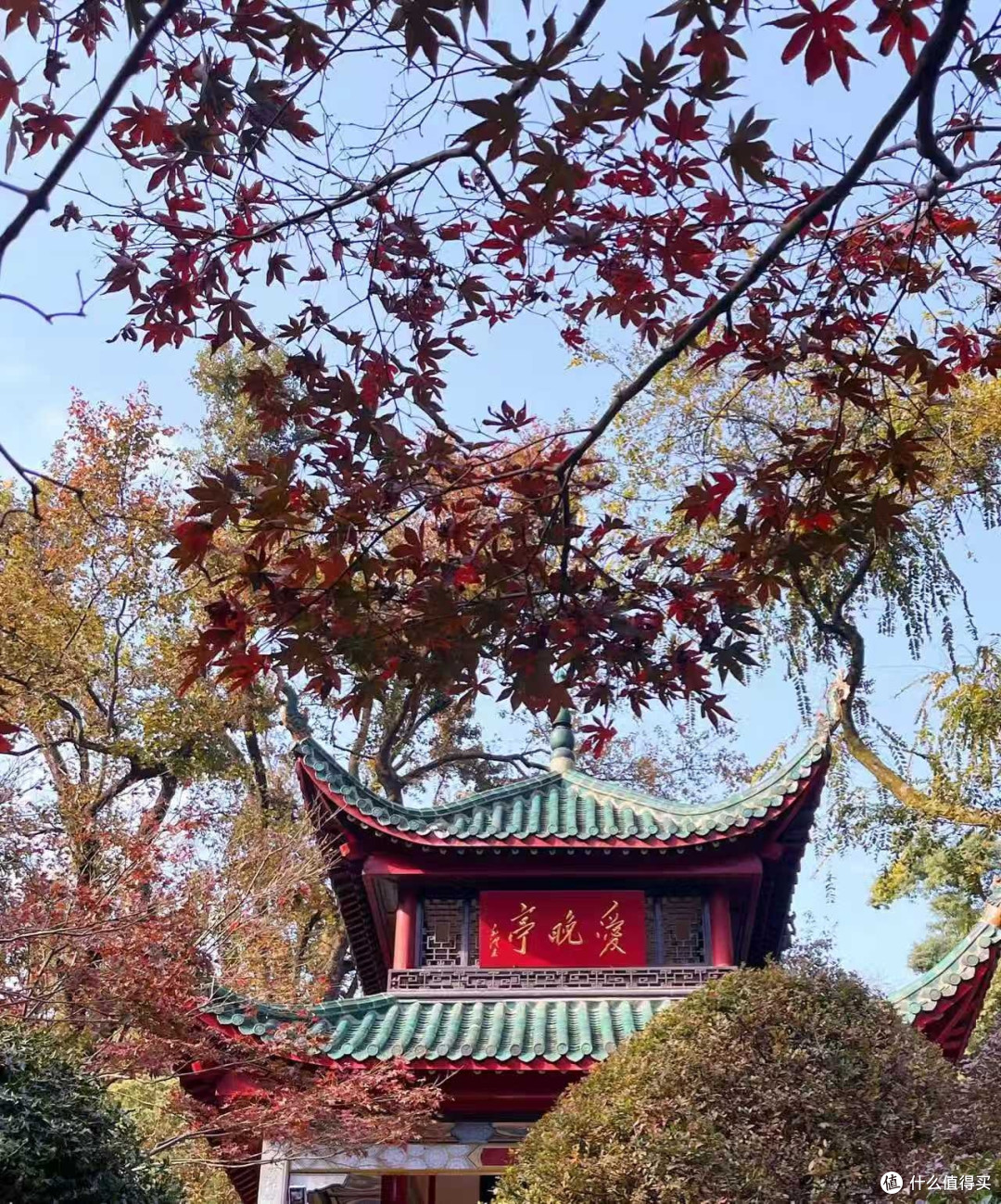 岳麓山的周末治愈之旅