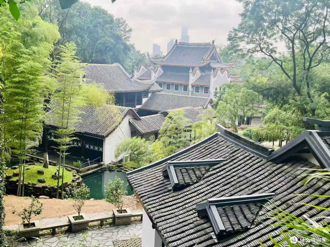岳麓山的周末治愈之旅