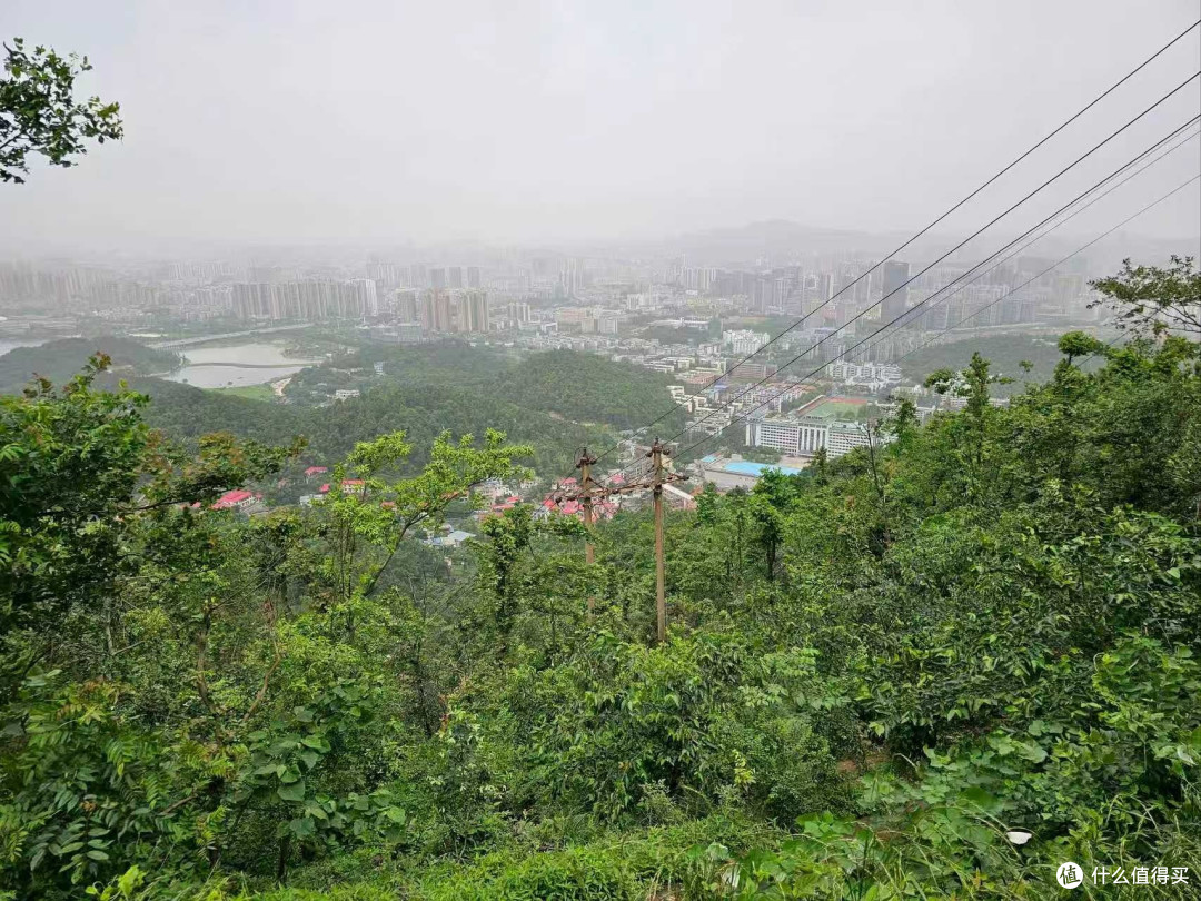 岳麓山的周末治愈之旅