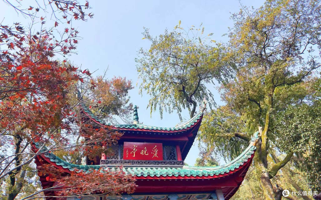 岳麓山的周末治愈之旅
