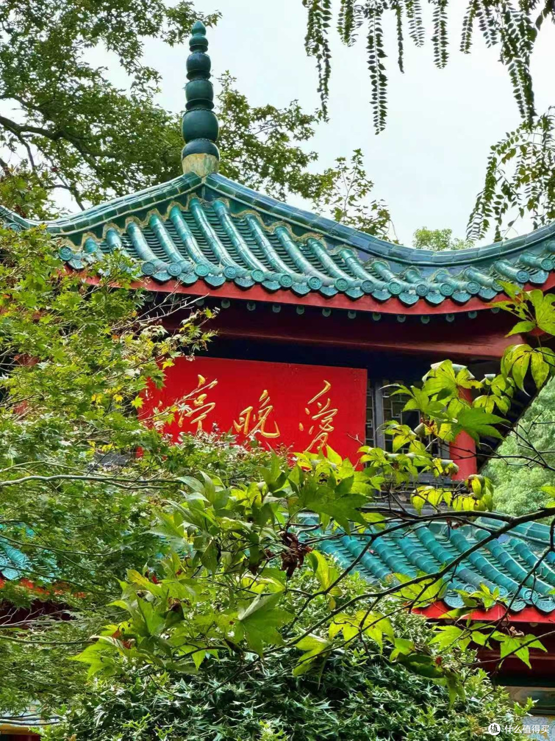 岳麓山的周末治愈之旅