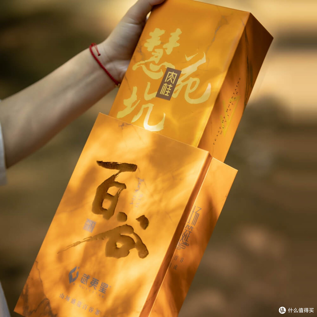 武夷星-山场盛筵百谷金装慧苑坑肉桂_乌龙茶_什么值得买