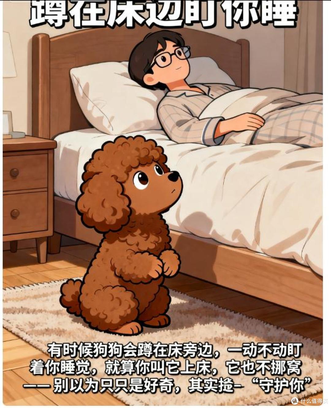 在你睡着后,若狗狗做这些事,说明你养对了!