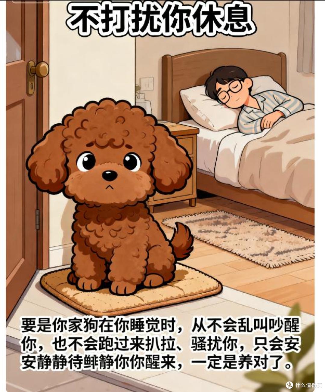 在你睡着后,若狗狗做这些事,说明你养对了!