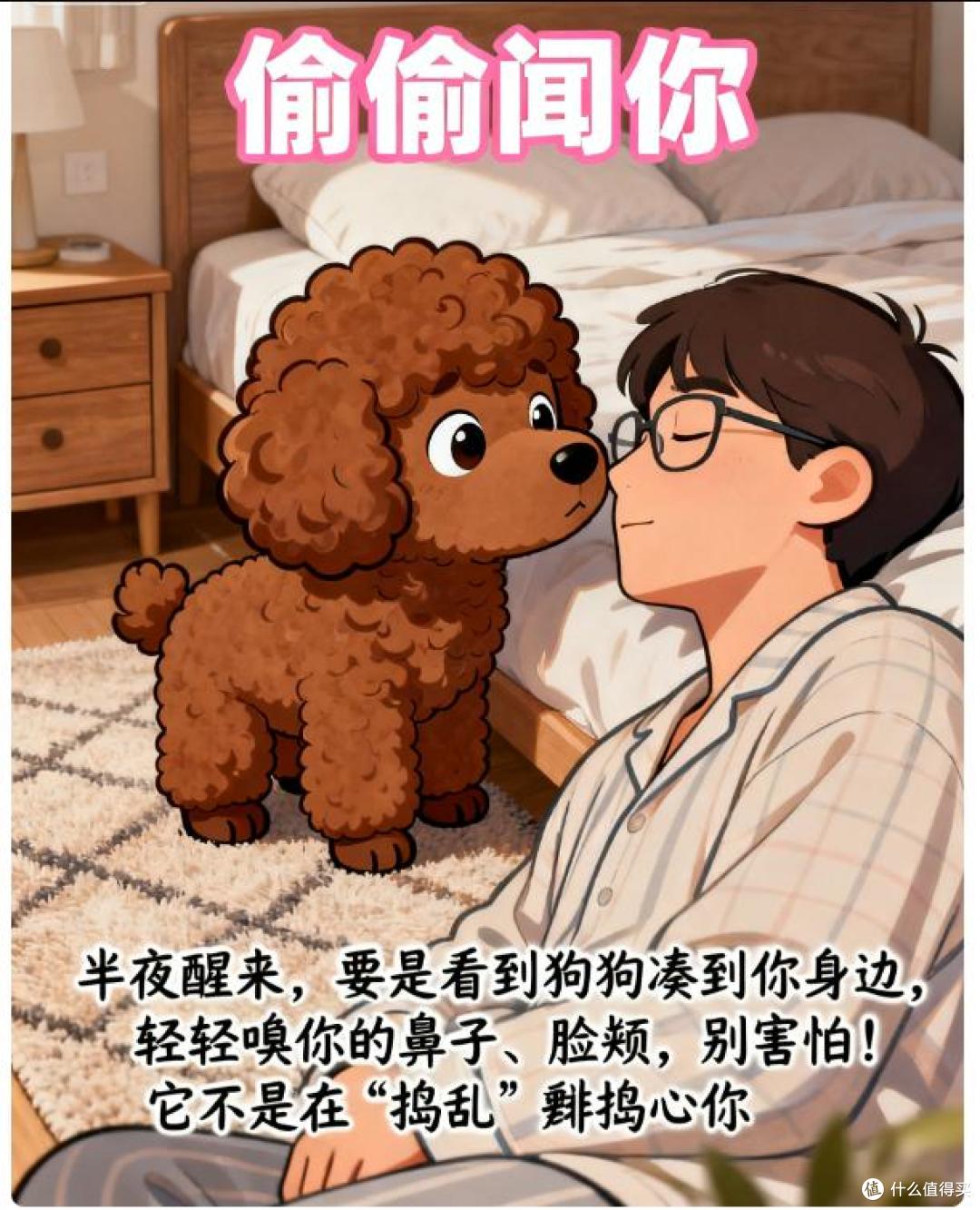 在你睡着后,若狗狗做这些事,说明你养对了!