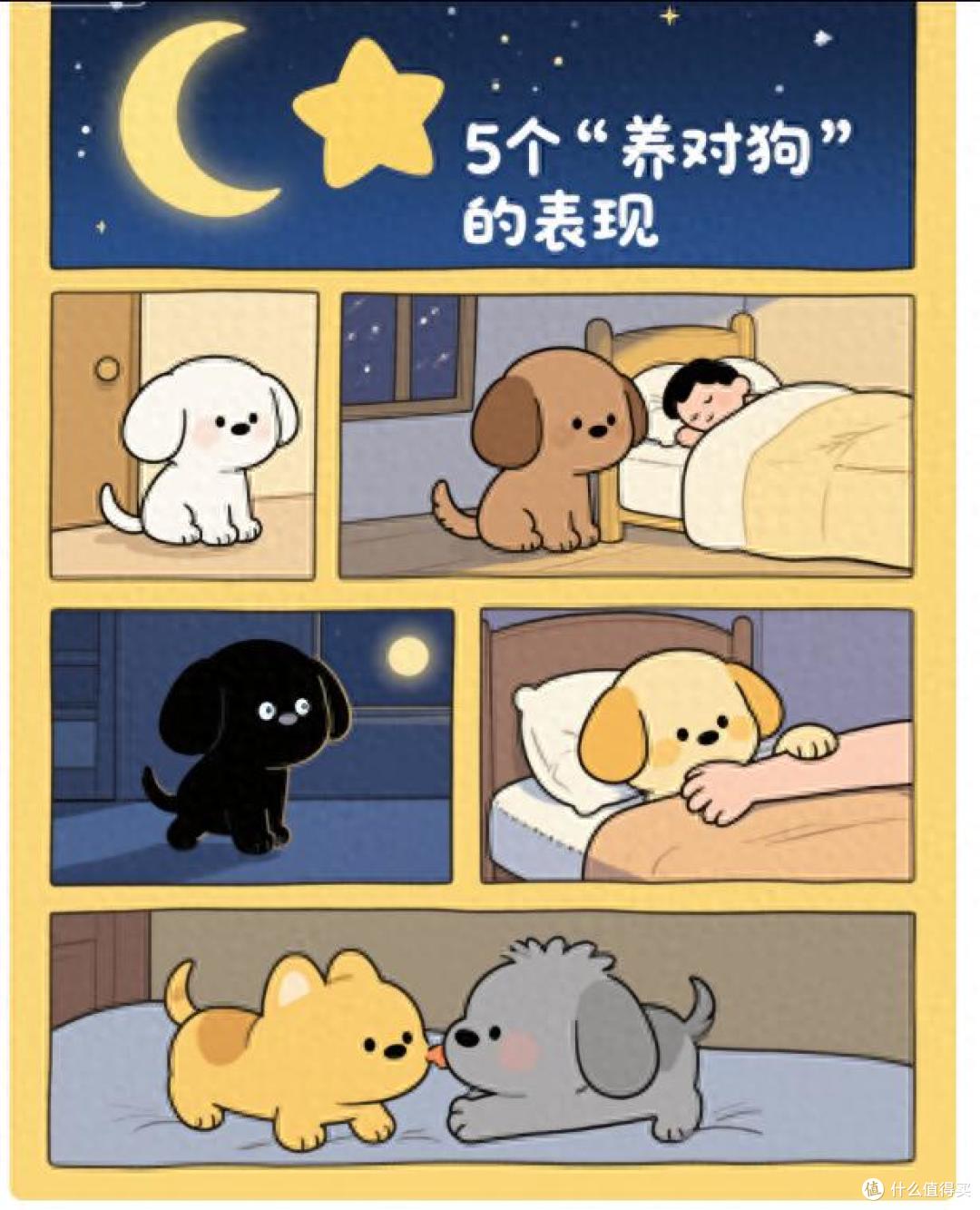 在你睡着后,若狗狗做这些事,说明你养对了!