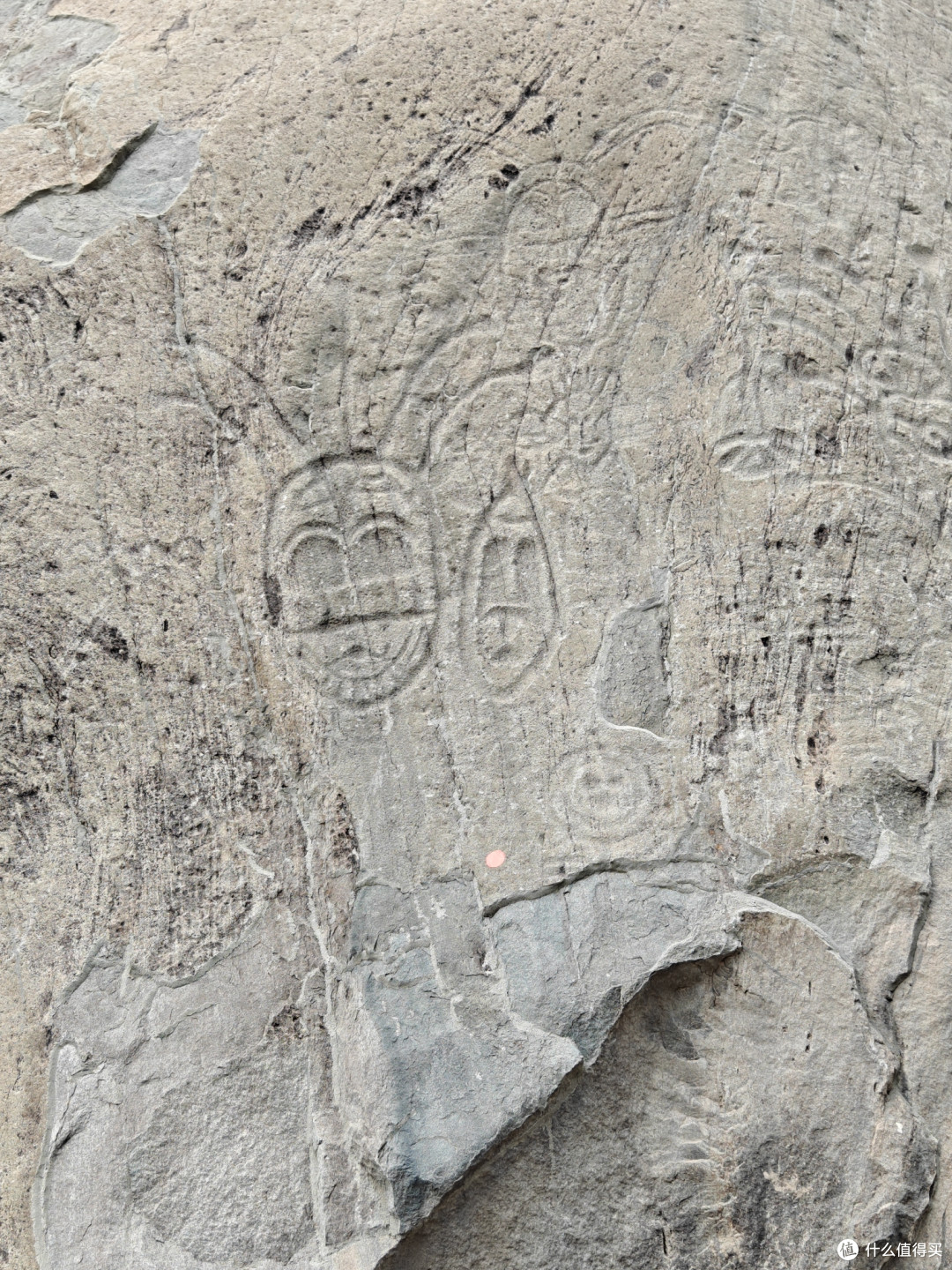 贺兰山岩画：古代游牧民族的艺术