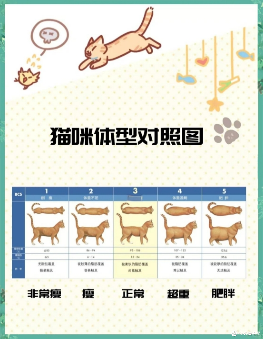 一只猫一个月吃多少猫粮?性价比健康猫粮排行榜前十名推荐
