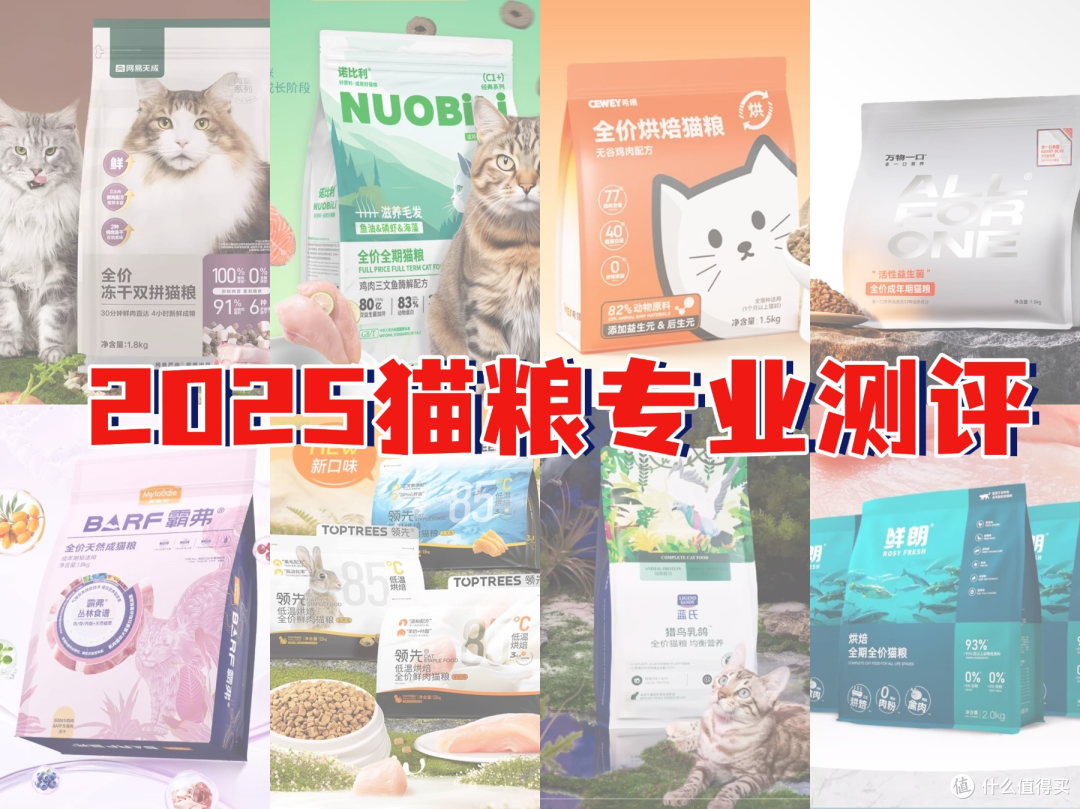 一只猫一个月吃多少猫粮?性价比健康猫粮排行榜前十名推荐