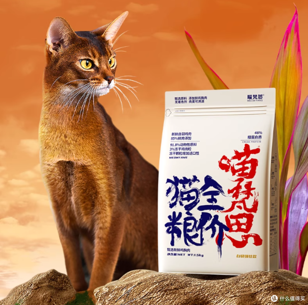 一只猫一个月吃多少猫粮?性价比健康猫粮排行榜前十名推荐