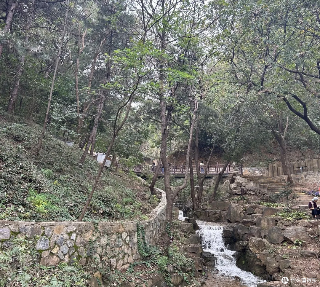 十一游西山国家森林公园：赏秋景享清净，惬意十足