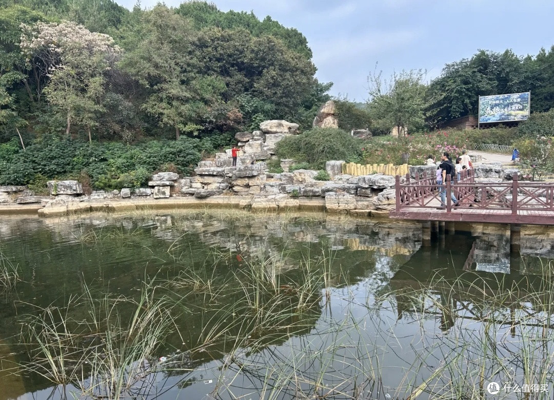 十一游西山国家森林公园：赏秋景享清净，惬意十足