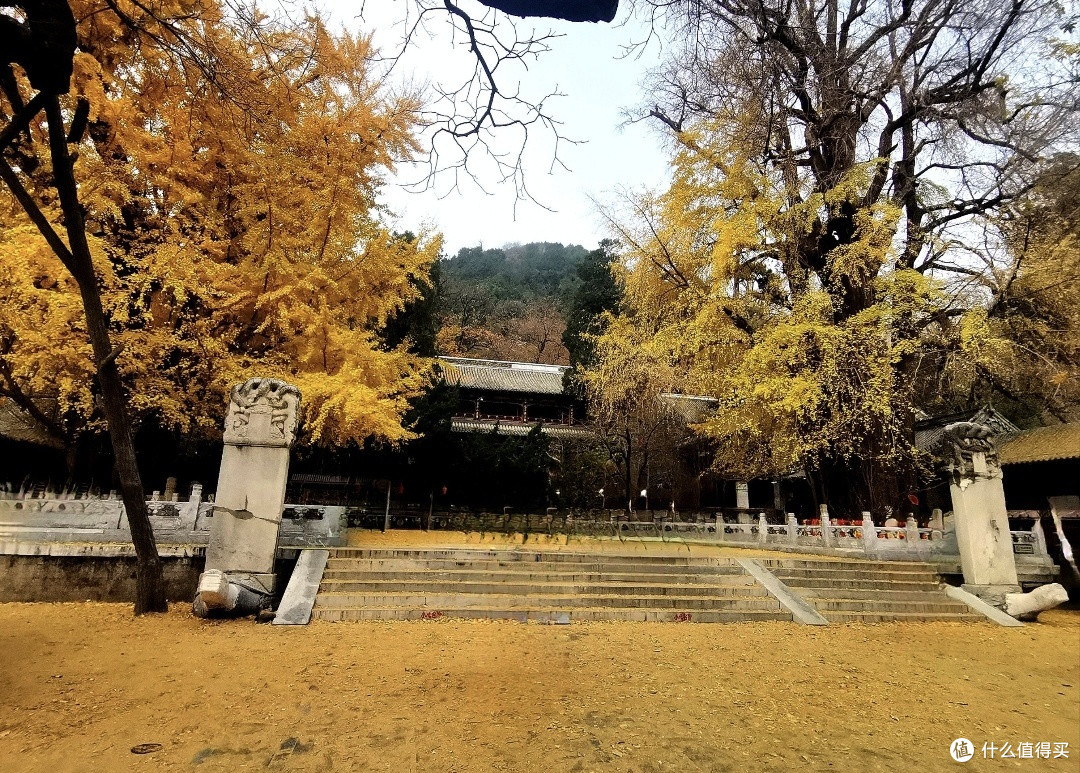 十一游潭柘寺:古刹秋光里的清净时光
