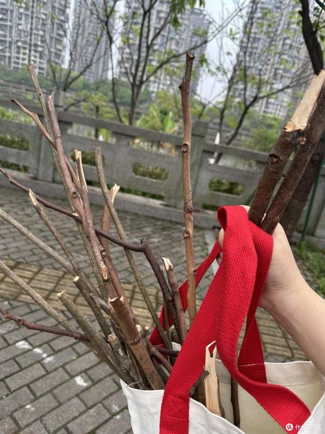 下班路上捡了个树枝,谁成想,竟把家里好多东西盘活了!