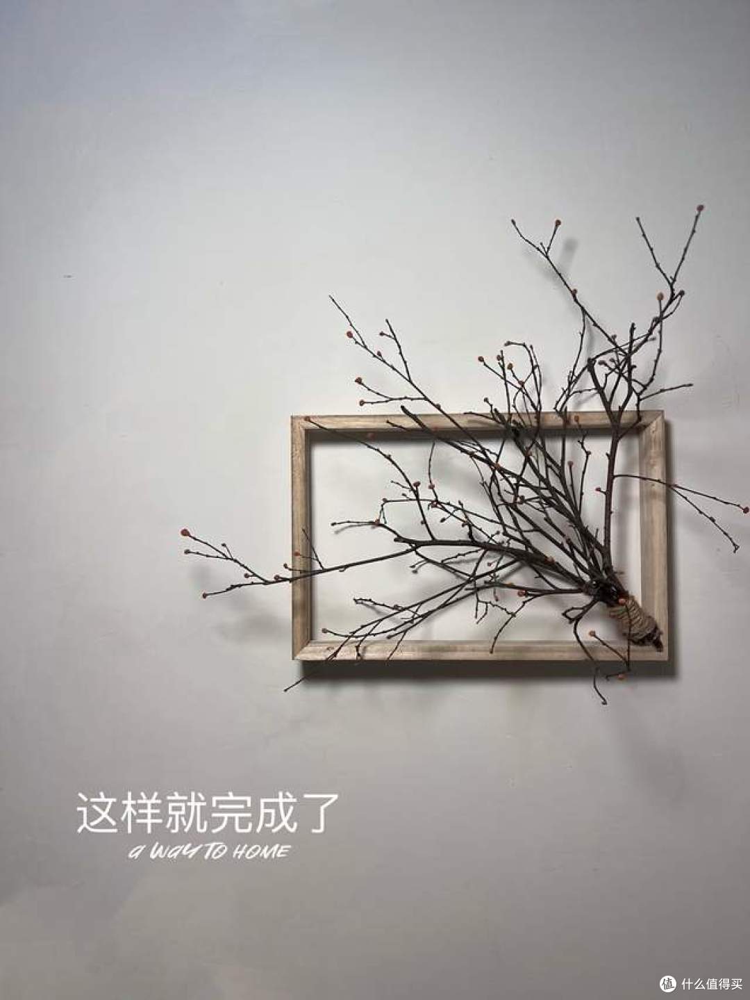 下班路上捡了个树枝,谁成想,竟把家里好多东西盘活了!