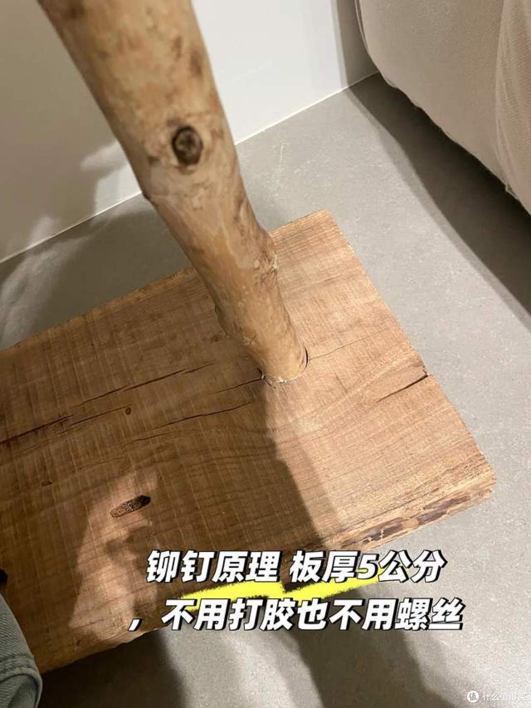 下班路上捡了个树枝,谁成想,竟把家里好多东西盘活了!