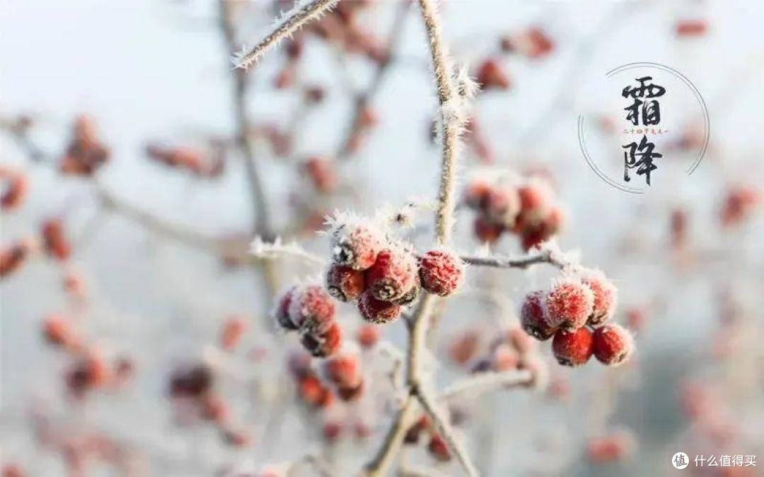 明日霜降,牢记吃“5样”,道道好吃易做,护全家一冬健康!