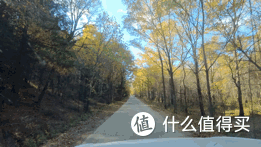 「伊春」国庆赏秋保姆级攻略：不止五花山色