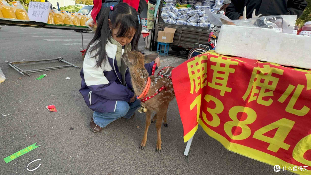 「伊春」国庆赏秋保姆级攻略：不止五花山色
