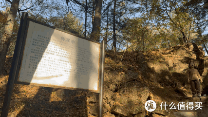 「伊春」国庆赏秋保姆级攻略：不止五花山色