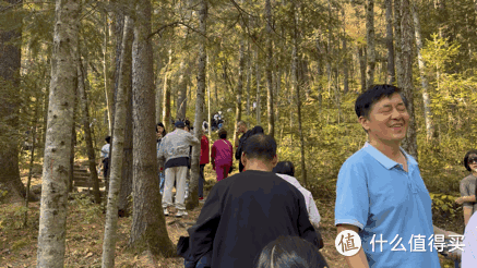 「伊春」国庆赏秋保姆级攻略：不止五花山色