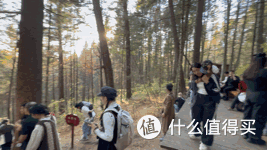 「伊春」国庆赏秋保姆级攻略：不止五花山色