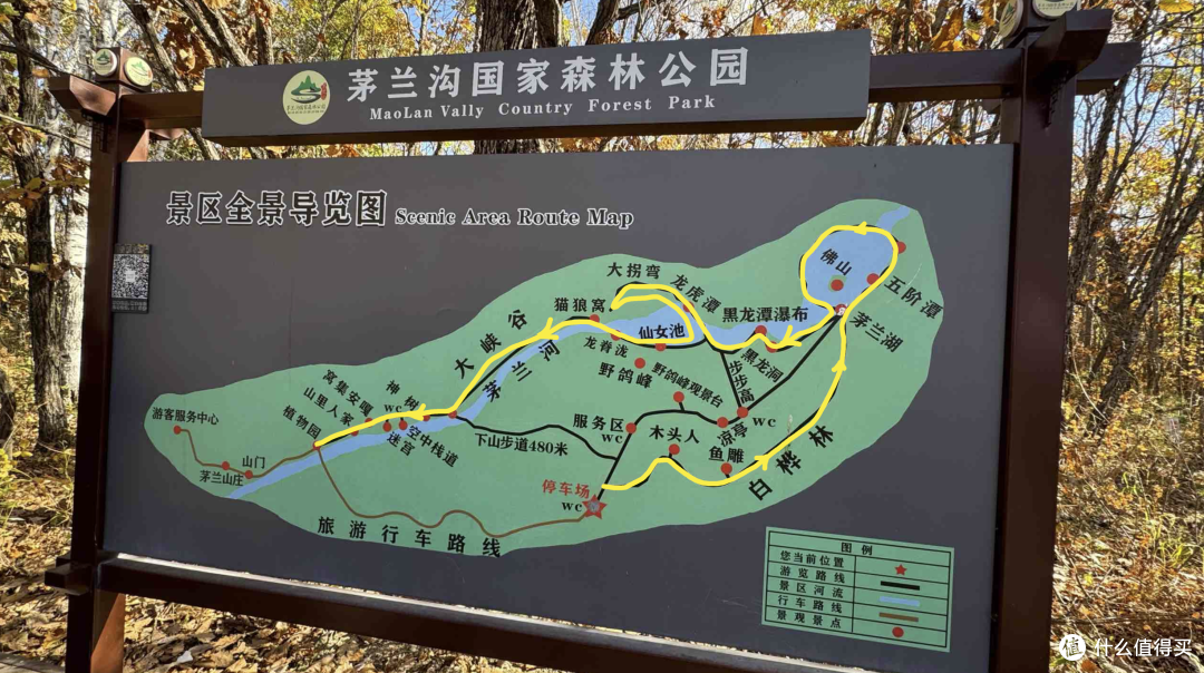 「伊春」国庆赏秋保姆级攻略：不止五花山色